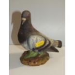 Kowa Ware Stock Dove