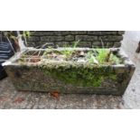 Oblong Concrete Planter