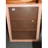 Glazed Collectors Cabinet