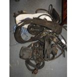 Horse Tack