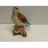 Beswick Thrush