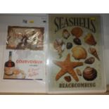 Advertising Print - Courvoisier and Seashell Beachcomber Print