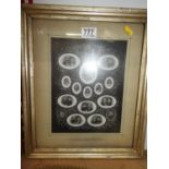 Gilt Framed Picture - The Royal Family of England