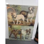 2x Canvas Pictures - Dogs