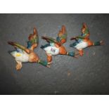 Beswick Graduating Wall Hangings - Ducks