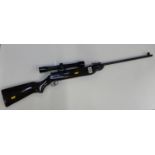 Air Rifle with Hunter Sight