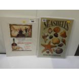 New Metal Sign - Seashells and Framed Advertising Print