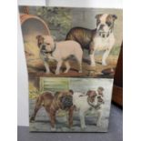 Canvas Prints - Dogs