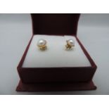 Pair of 9ct Gold Earrings - 8gms