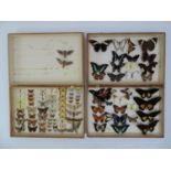 Cased Butterfly Collection