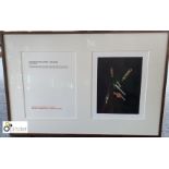 Framed and glazed limited edition signed Print “metal detector finds, whistles and water pistol”