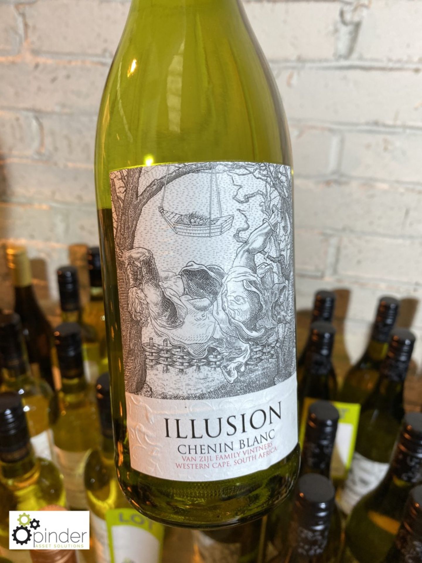 6 bottles Illusion Chenin Blanc