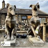 Pair of Portland stone Hunting Hounds, made for a show display for a well-known country clothing
