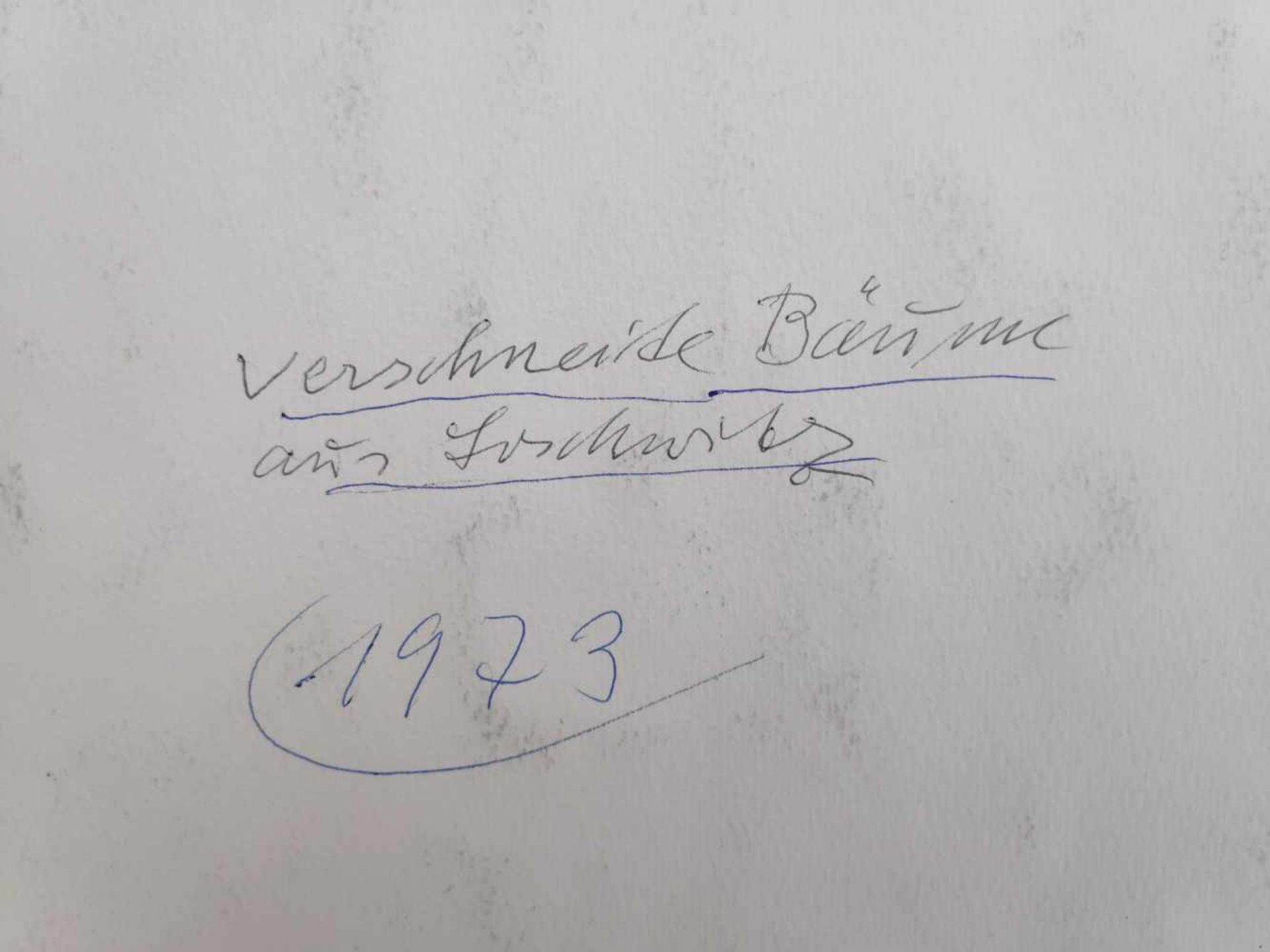 Georg Nerlich (1892 Oppeln  1982 Dresden) - Bild 11 aus 11