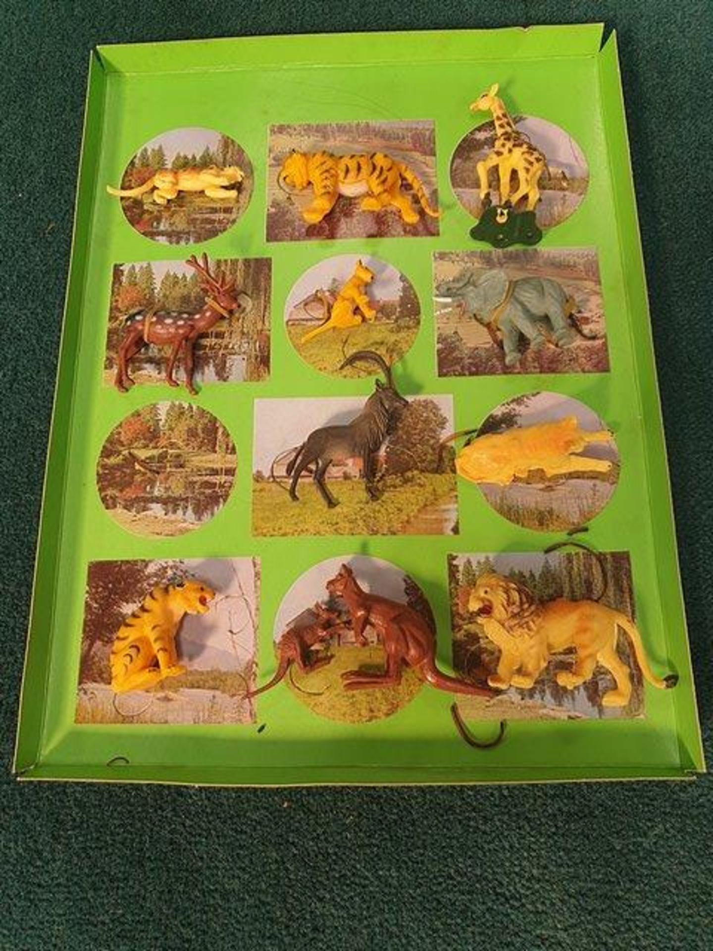 Blue Box International #6001 12 Piece Educational Zoo Complete In Box