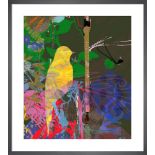 Tiffany Lynch Yellow Shimmer Bird, 28x36cm Framed Print in Responsibly Sourced Solid Frame With A