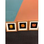 3 x Fruit Prints Of Lemon Orange And An Apple And A Wooden Frame 500 x 540 Mm