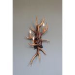 3 x 3 Lamp Resin Antler Wall Sconces 1000 x 300mm