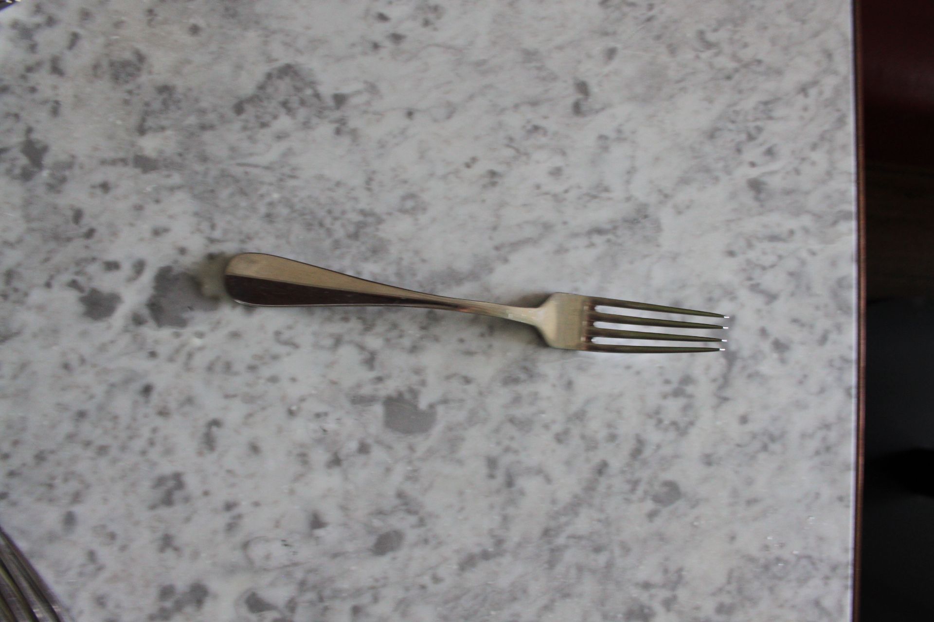 Arthur Knipp 18/10 Stainless Steel Cutlery 9" Fork X12