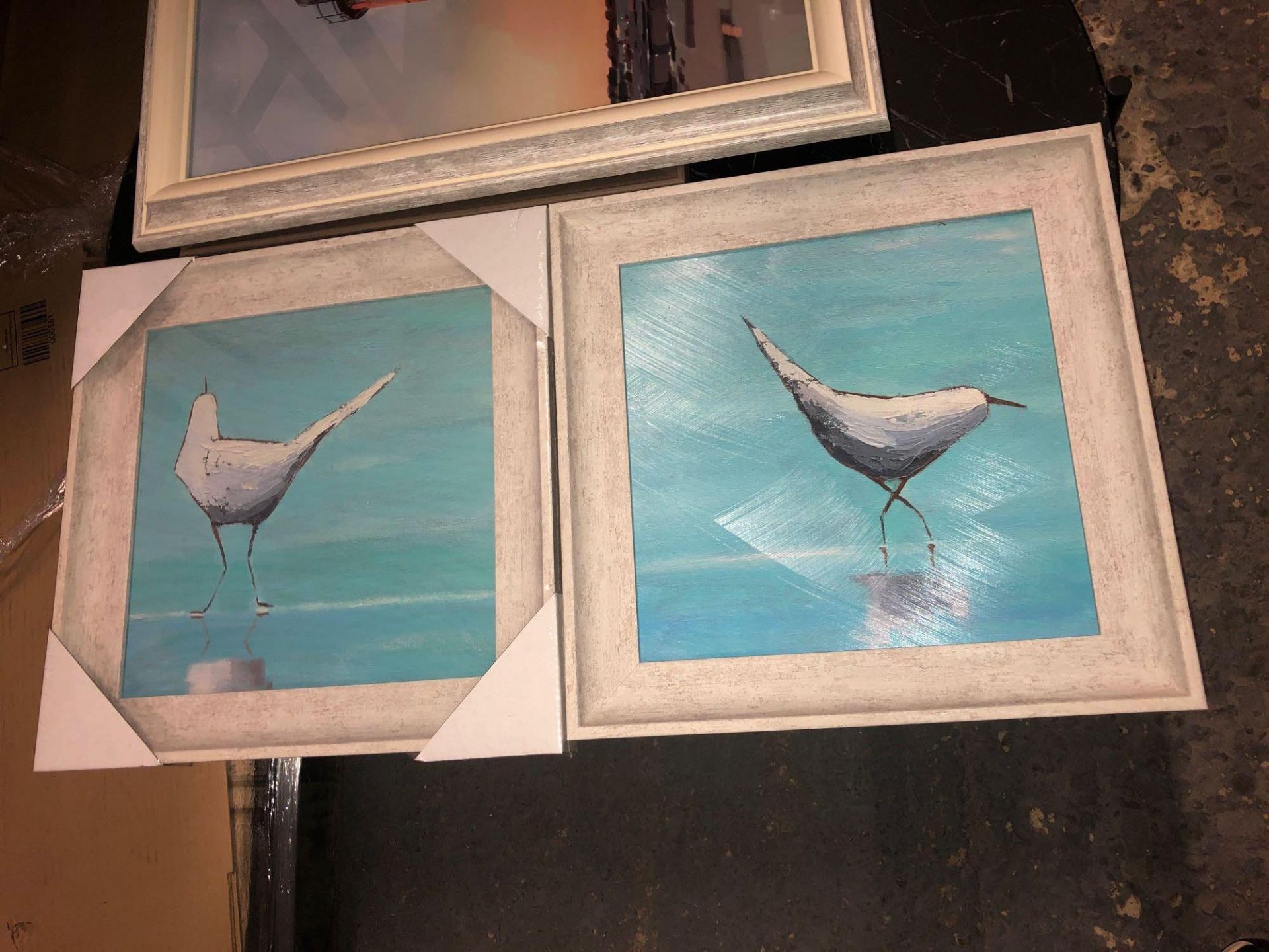 Curious Seagulls Framed Art Set Of 2