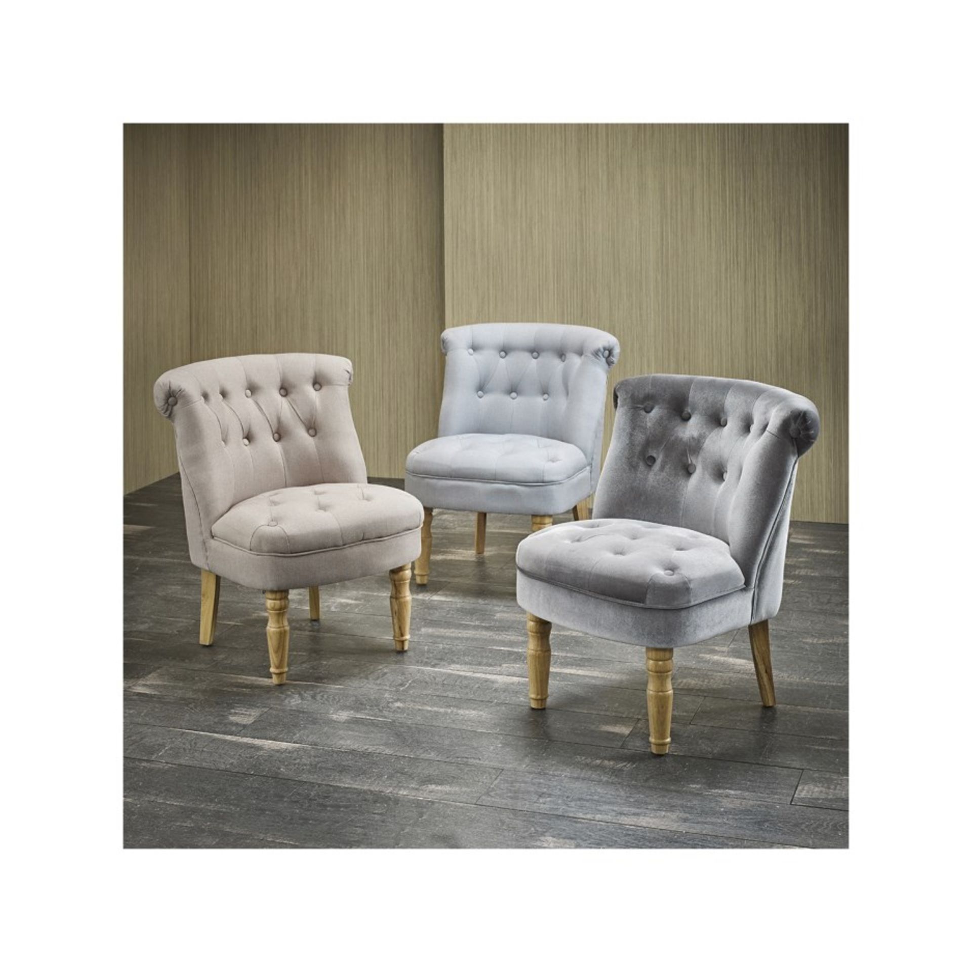 Charlotte Occasional Chair Its French-inspired design and plush silver velvet will add a touch of