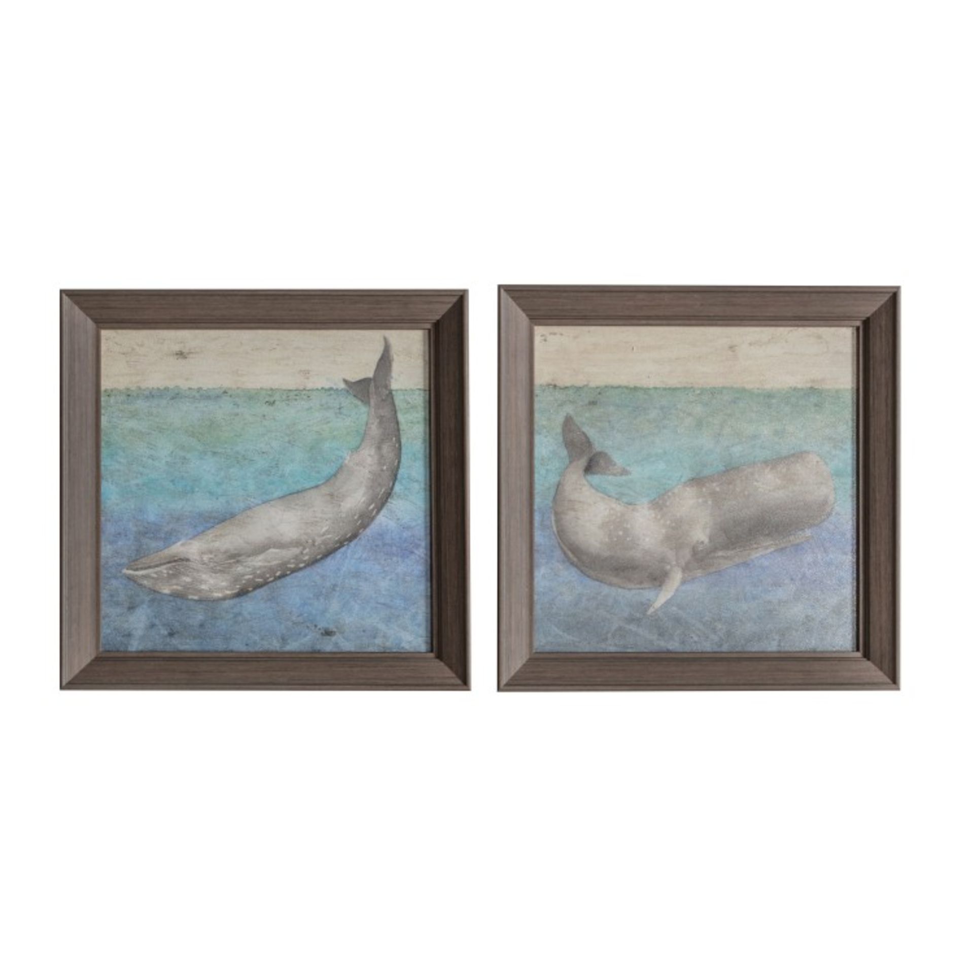 Textured whale framed art Set of 2 355 x 35 x 355mm A beautiful piece of wall art fresh and