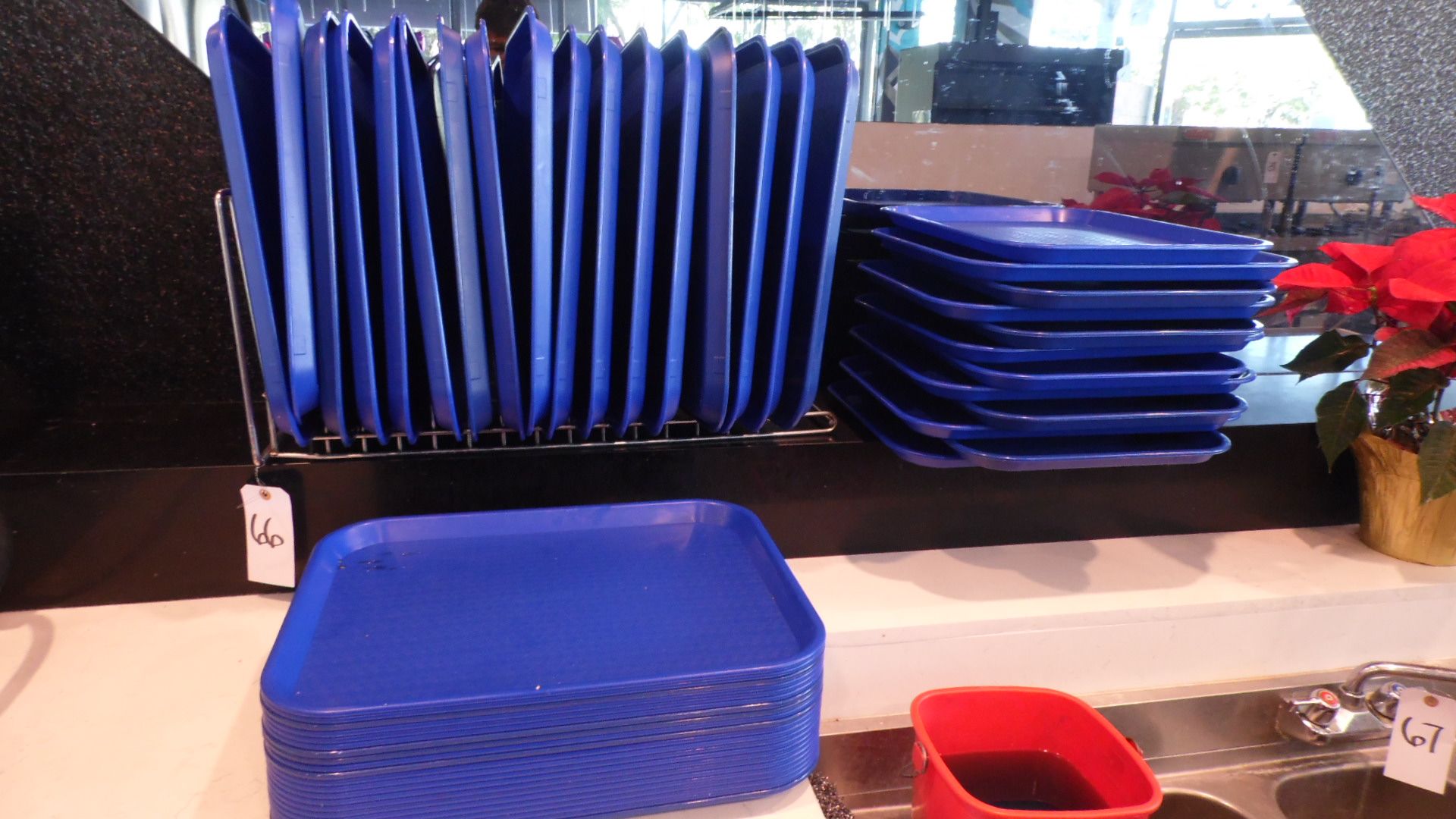 BLUE TRAYS w/ RACK