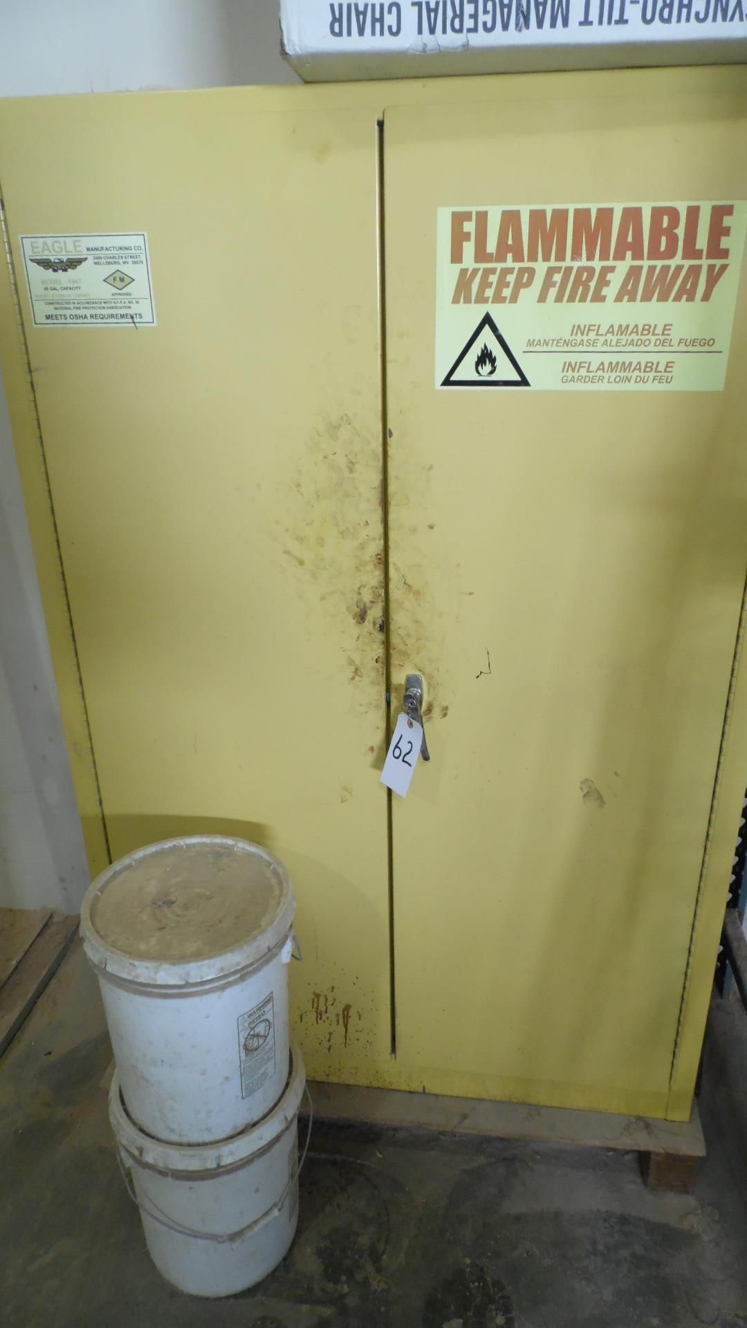 FLAMMABLE CABINET w/ CONTENTS