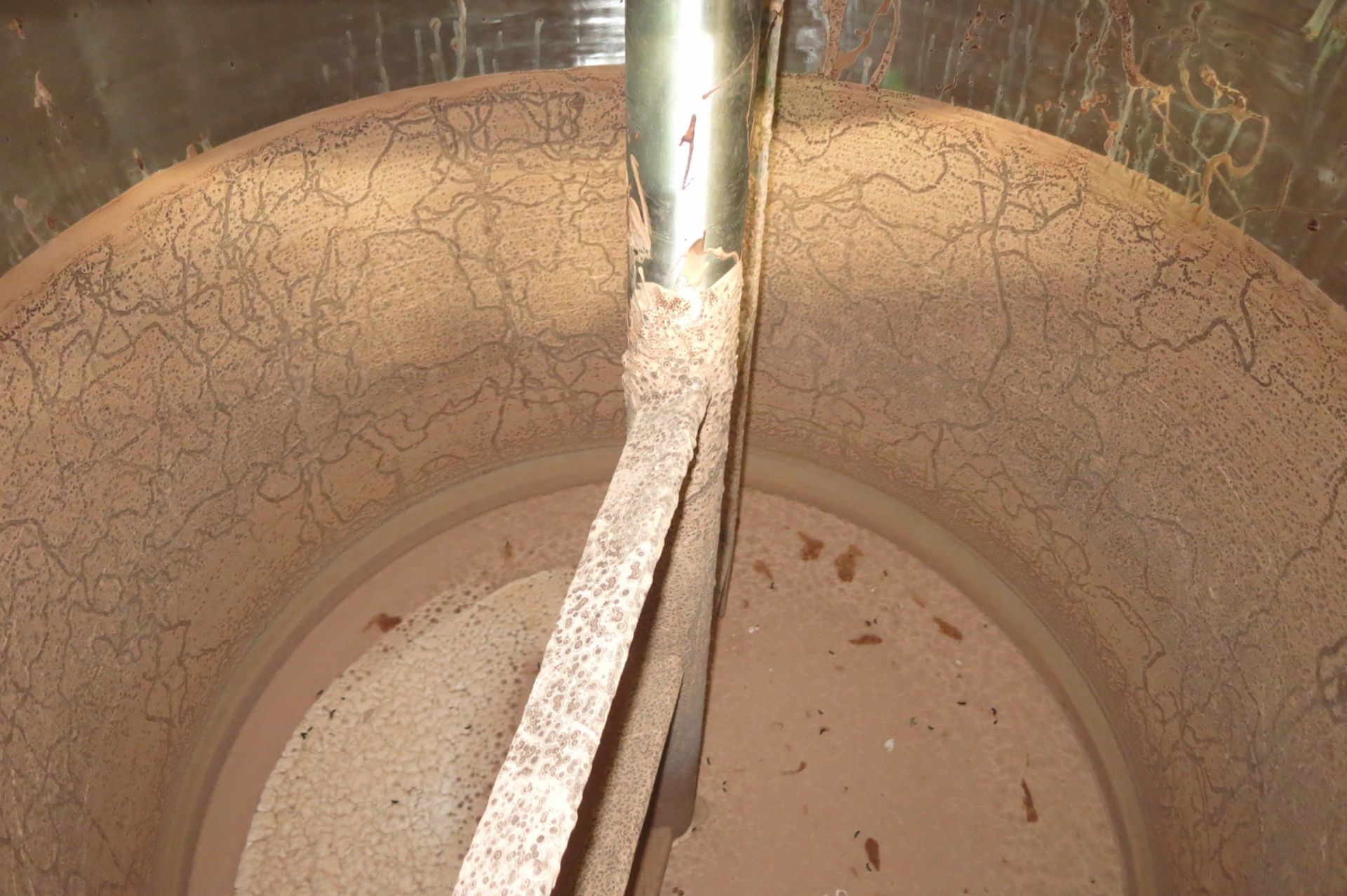 Chocolate Tank - Image 4 of 5