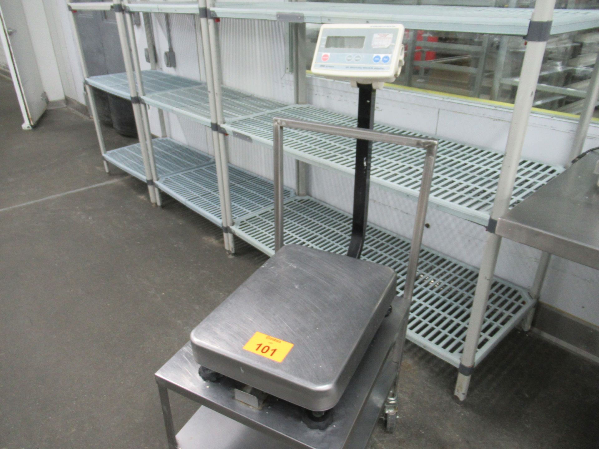 Platform Scale - Image 2 of 3