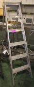 5 Tread Step Ladder