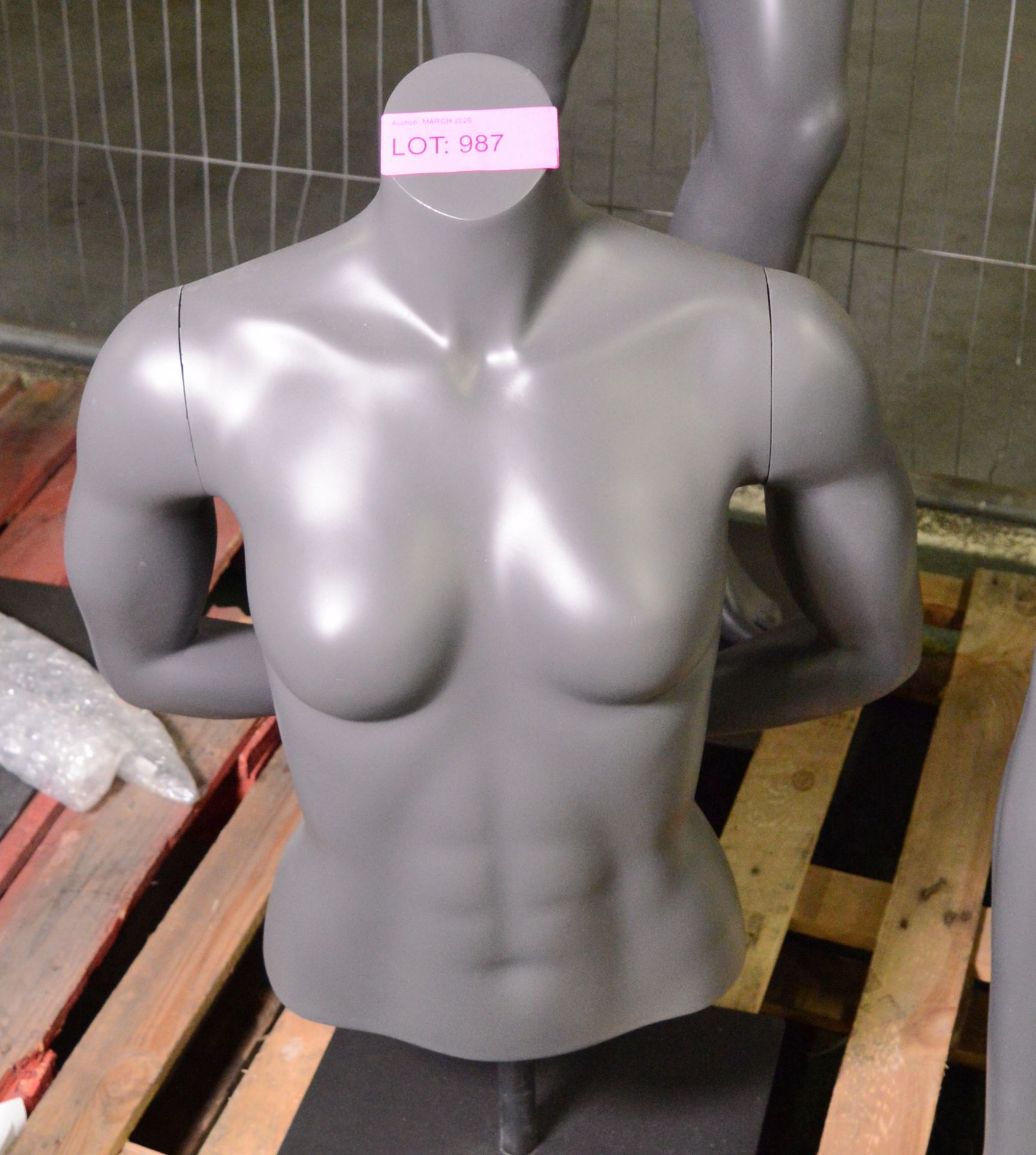 Mannequin - Female Bust.