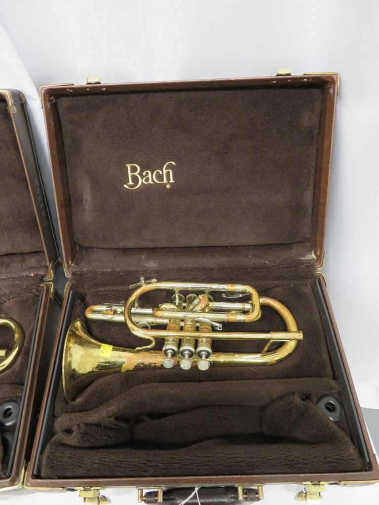 4x Vincent Bach Stradivarius 184 cornets with cases. Serial Numbers: 519302, 528842, 58489 - Image 2 of 30