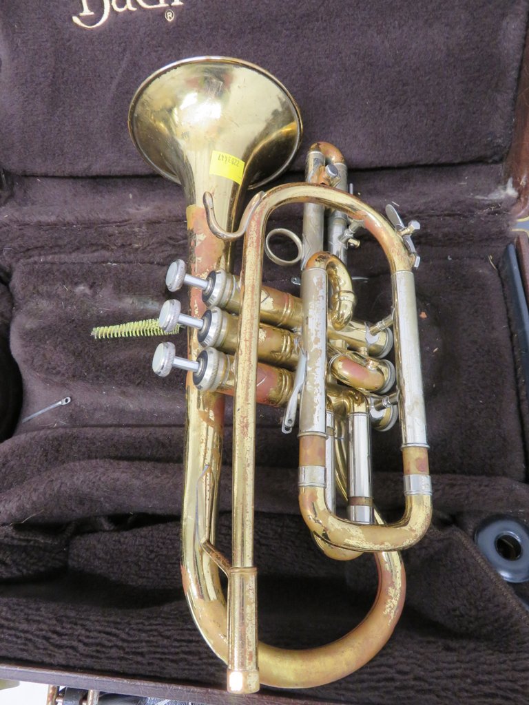 4x Vincent Bach Stradivarius 184 cornets with cases. Serial Numbers: 519302, 528842, 58489 - Image 6 of 30