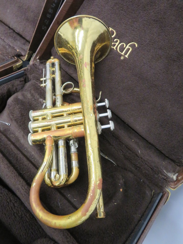 4x Vincent Bach Stradivarius 184 cornets with cases. Serial Numbers: 519302, 528842, 58489 - Image 5 of 30