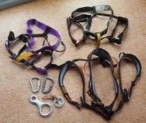Assorted climbing equipment 3 ropes, 3 harnesses, 4 accessories