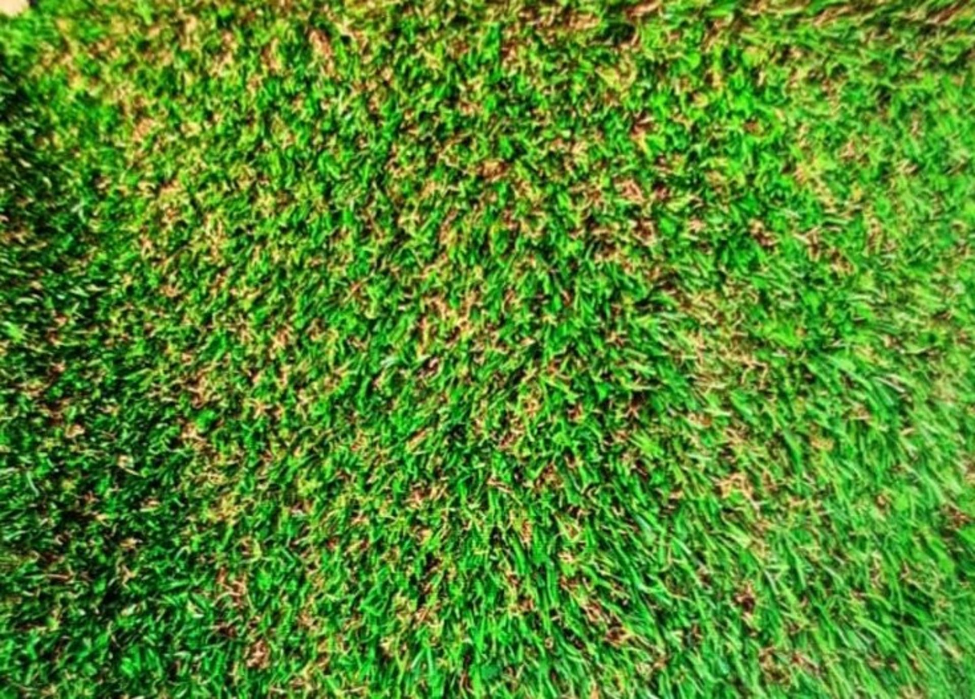 25m Long Roll of High Quality 30mm Depth Artificial Grass (50m2 coverage per roll) made by Sungrass - Image 2 of 4