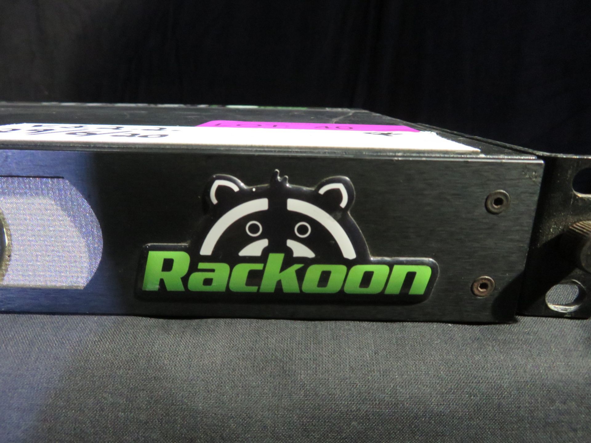 Green Hippo Raccoon Media server - Image 3 of 6