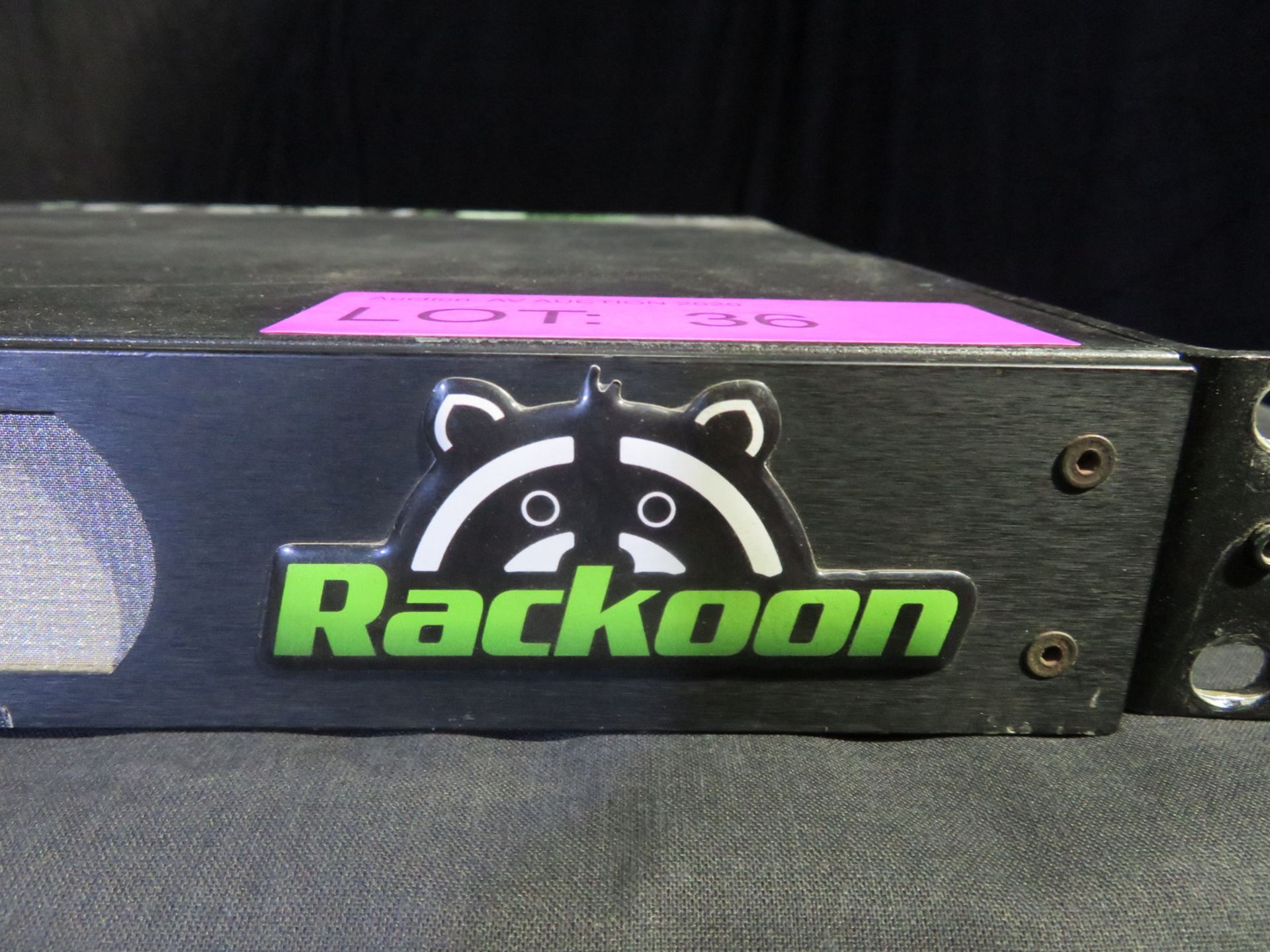 Green Hippo Raccoon Media server - Image 3 of 6