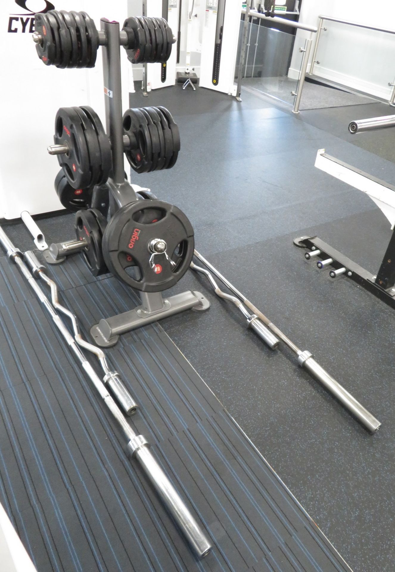 Origin Weight Plates With Stand, 2x Olympic Barbells & 2x EZ Curl Bars. See Description For Weights. - Image 2 of 16