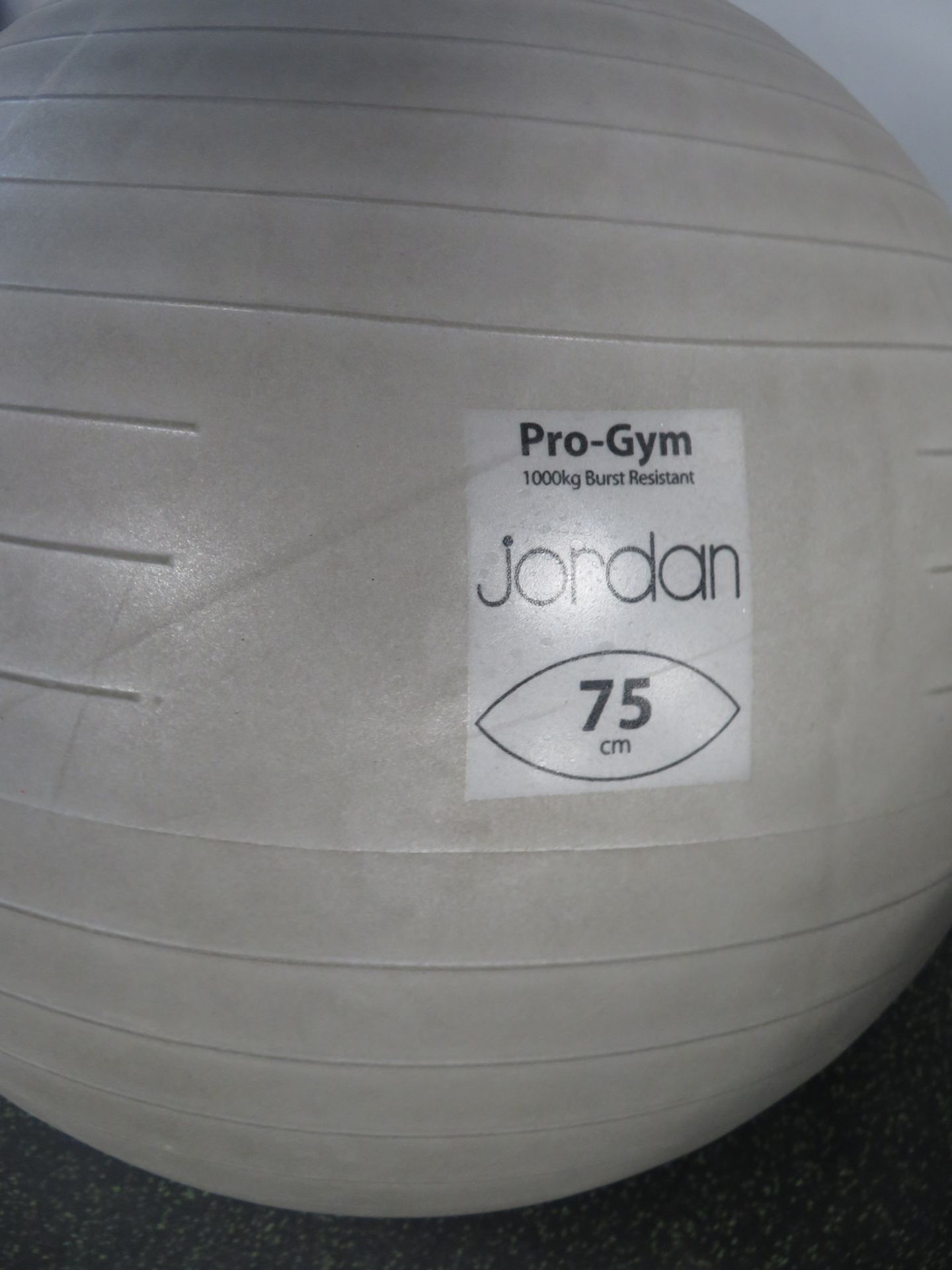 6x Pilates/Yoga Exercise Balls With 2 Stands - Various Sizes. - Image 5 of 6