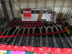 Tectool 25 piece combination spanner set