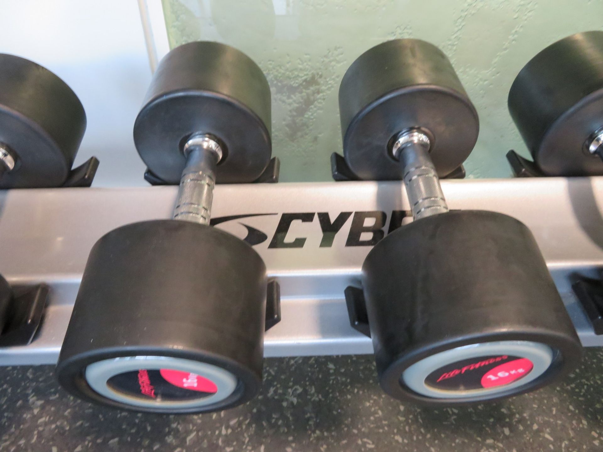 Life Fitness 2kg-20kg 10 Pair Dumbbell Set With Cybex Rack. - Image 12 of 15