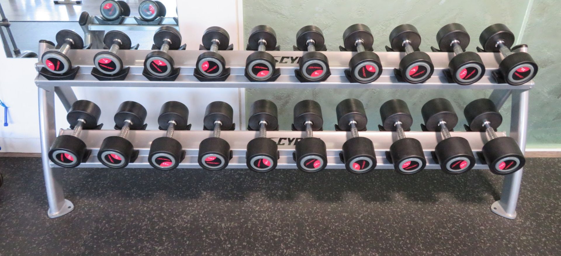 Life Fitness 2kg-20kg 10 Pair Dumbbell Set With Cybex Rack.