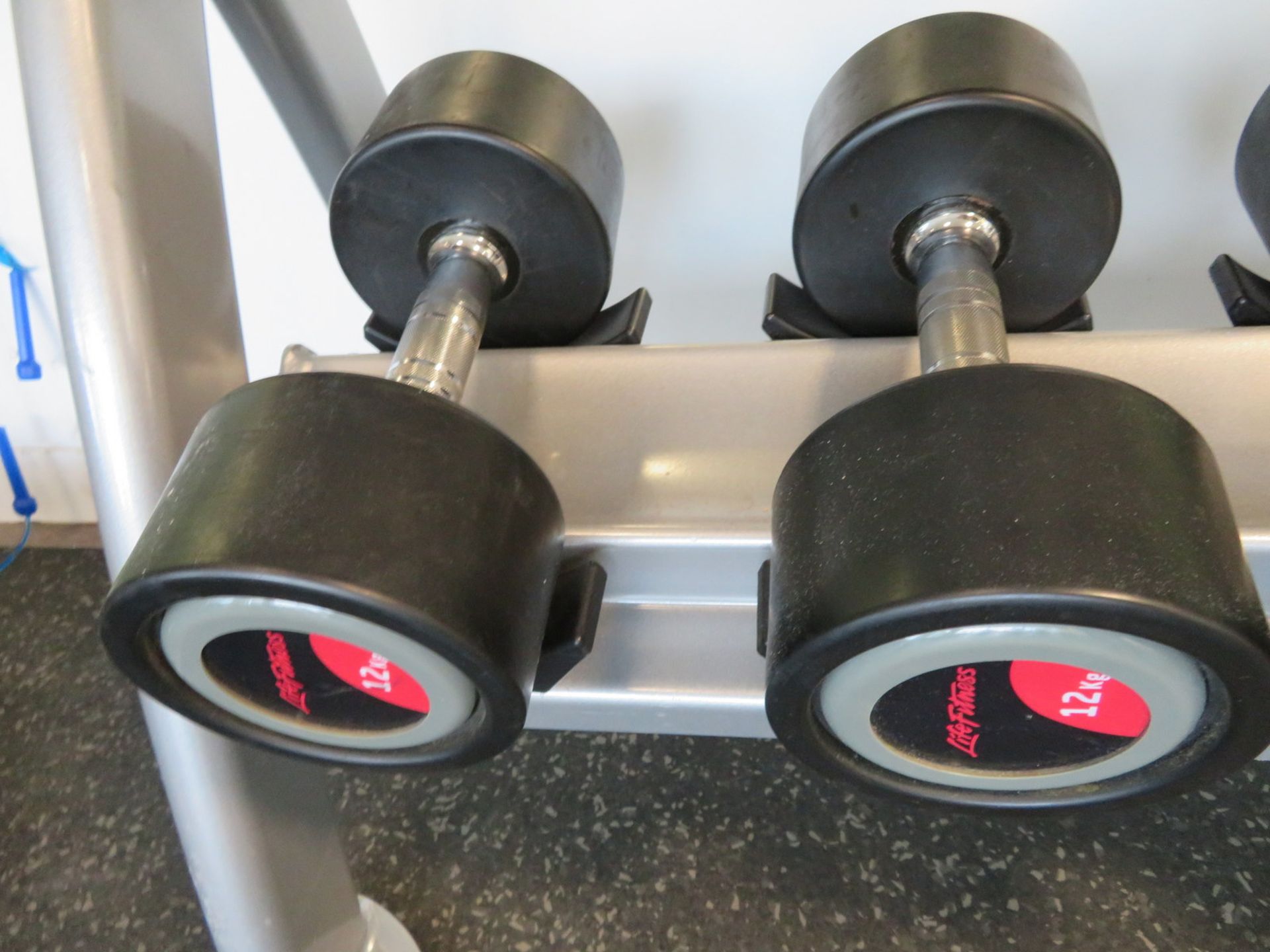 Life Fitness 2kg-20kg 10 Pair Dumbbell Set With Cybex Rack. - Image 10 of 15