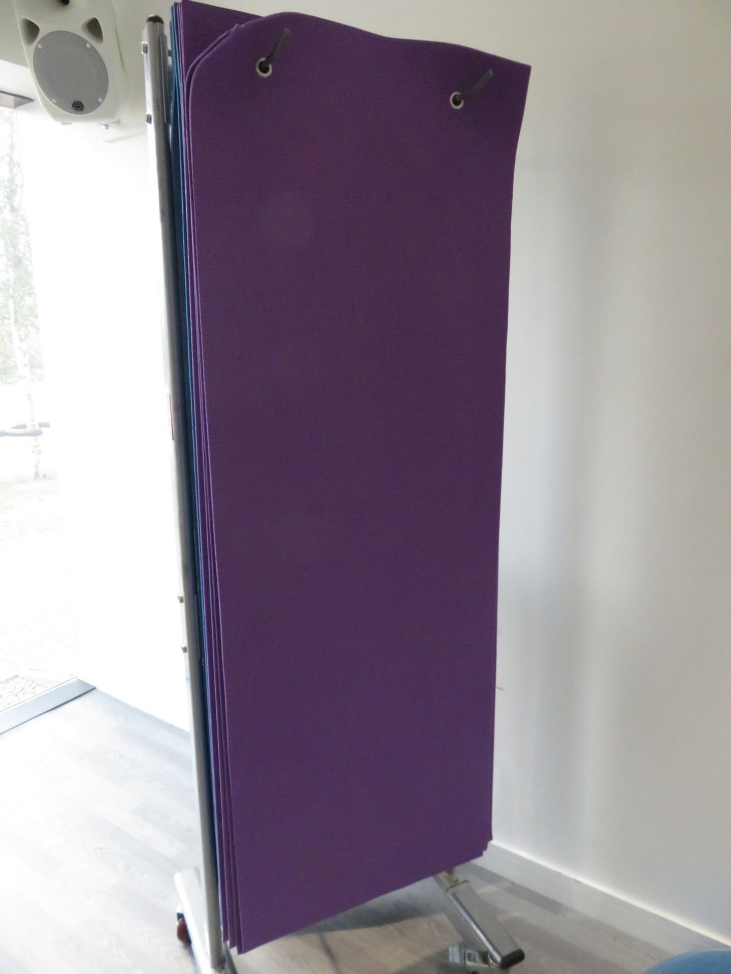 22x Assorted Studio/Gym Mats With Hanging Storage Rack. - Image 4 of 5