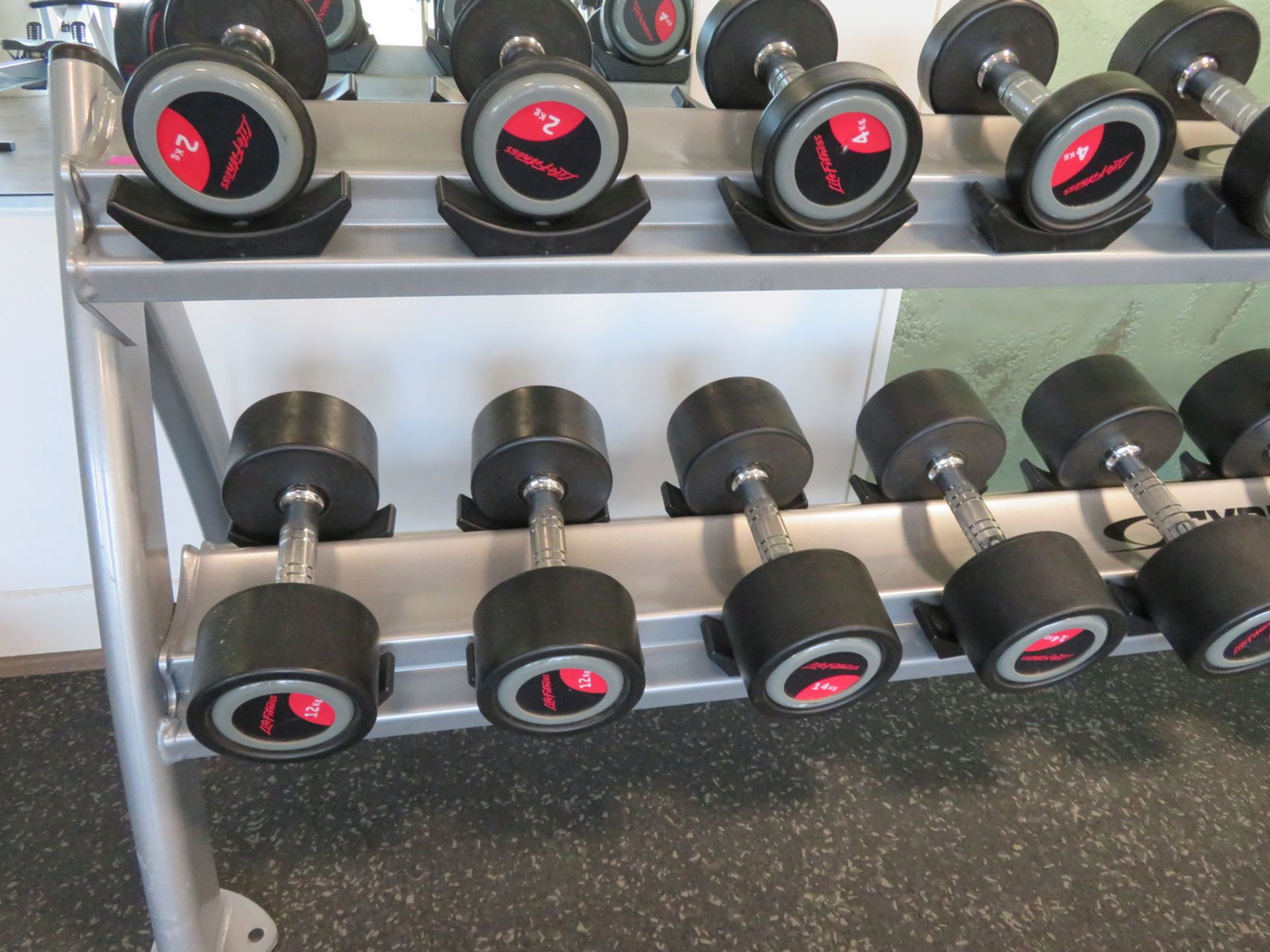 Life Fitness 2kg-20kg 10 Pair Dumbbell Set With Cybex Rack. - Image 3 of 15