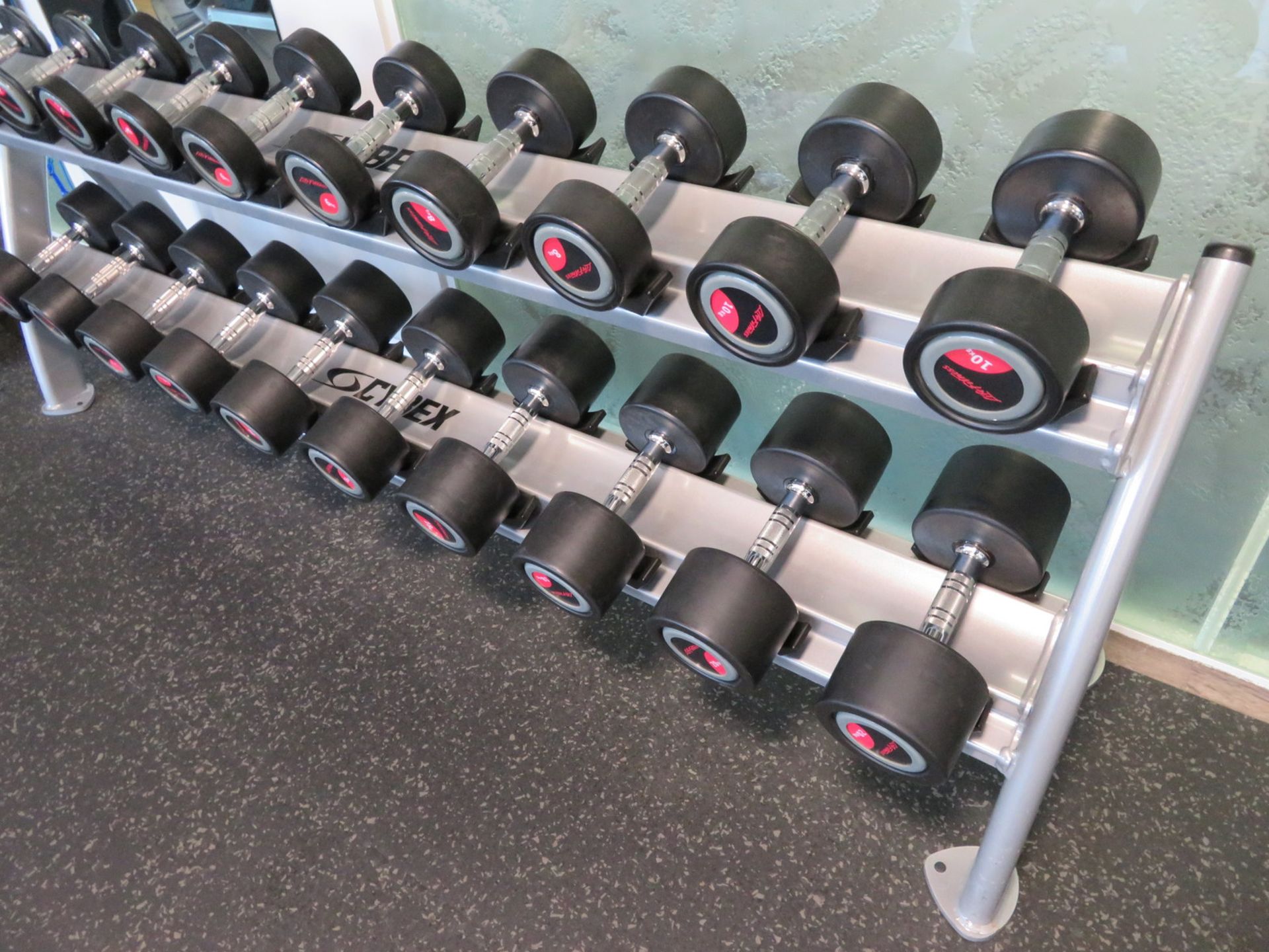 Life Fitness 2kg-20kg 10 Pair Dumbbell Set With Cybex Rack. - Image 4 of 15