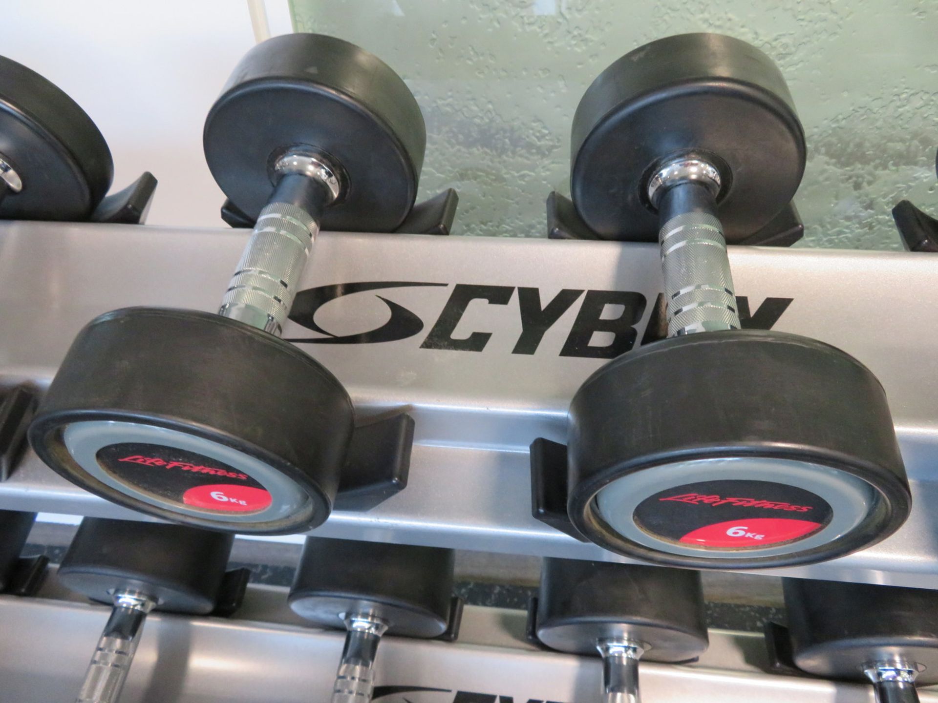 Life Fitness 2kg-20kg 10 Pair Dumbbell Set With Cybex Rack. - Image 7 of 15