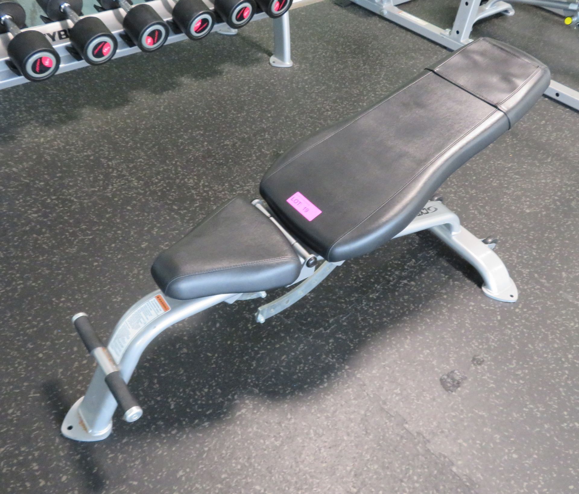 Cybex Height Adjustable Gym Bench.